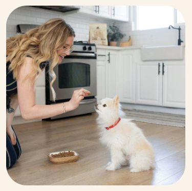 Image showing Redbarn Chicken Recipe High-Protein Air Dried Dog Food