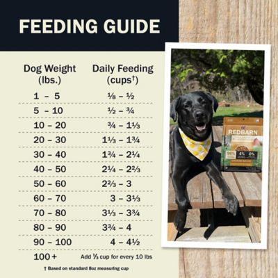 Image showing 6 th Redbarn Chicken Recipe High-Protein Air Dried Dog Food