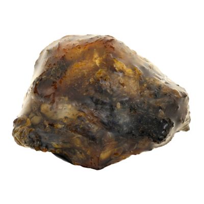 Image showing  Smoked Beef Knee Cap Dog Chew