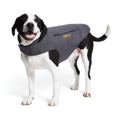 Image showing  Rebar DuraCanvas Ins Dog Jacket