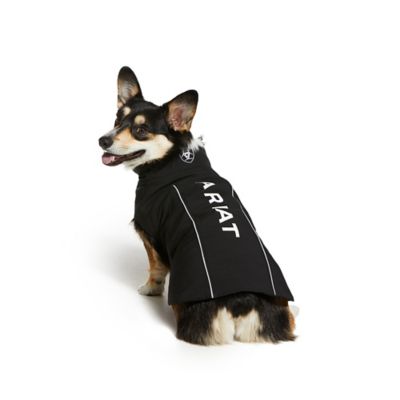 Image showing 1 th Ariat Team Softshell Dog Jacket BK