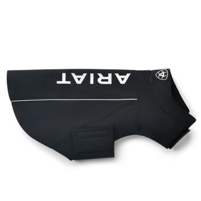 Image showing 2 th Ariat Team Softshell Dog Jacket BK