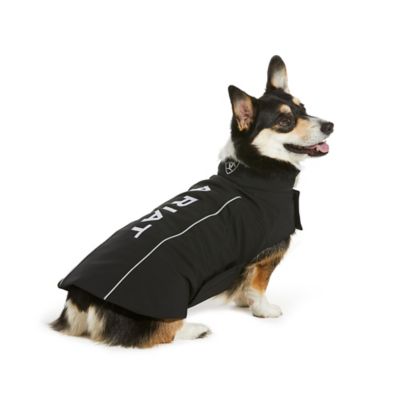 Ariat Team Softshell Dog Jacket BK