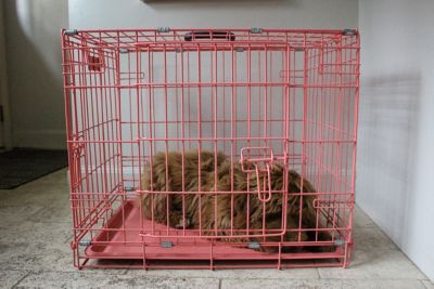 Image showing  Folding Crate