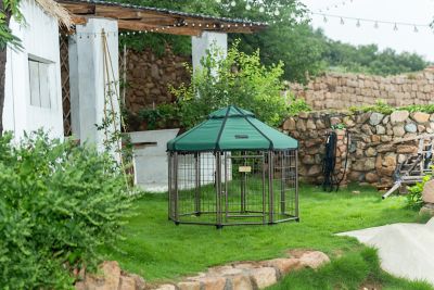 Image showing  4 ft. Hunter Green Canopy