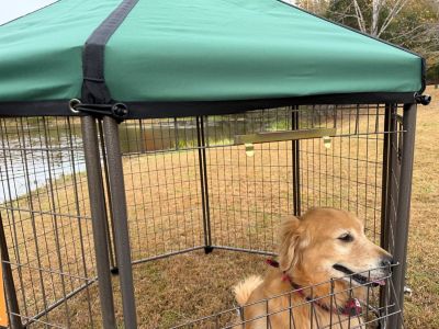 Image showing  5 ft. Hunter Green Canopy