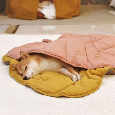 Image showing  Leaf Shape Pet Blanket