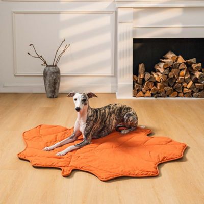 Image showing 2 th FunnyFuzzy Leaf Shape Pet Blanket