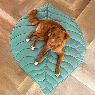 Image showing  Leaf Shape Pet Blanket