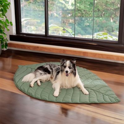 Image showing  Leaf Shape Pet Blanket