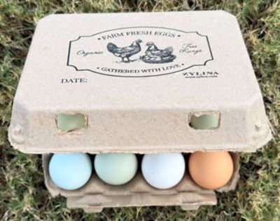 Image showing  12 pk. Egg Cartons, 25 Units