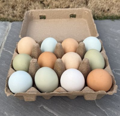 Image showing  12 pk. Egg Cartons, 25 Units