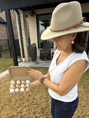 Image showing  12 pk. Egg Cartons, 25 Units