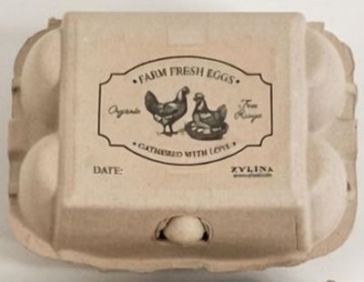 Zylina 6 pk. Egg Cartons, 25 Units