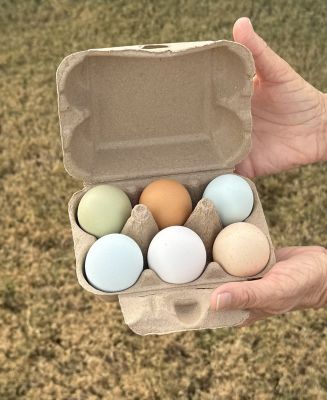 Image showing  6 pk. Egg Cartons, 25 Units