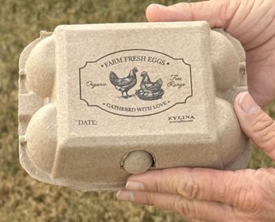 Image showing  6 pk. Egg Cartons, 25 Units