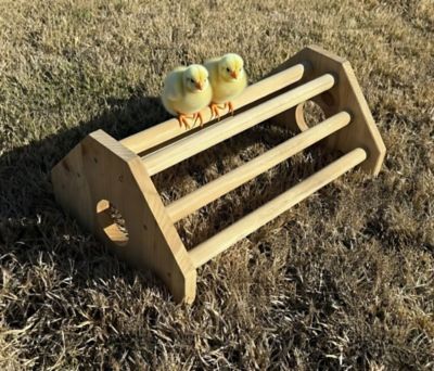 Image showing  Play-N-Roost Starter Chick Perch