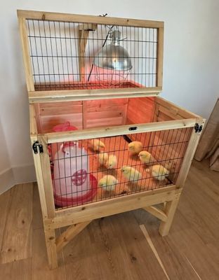 Image showing  Raised Brooder 32 x 32