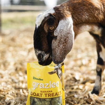 Image showing  Grazlee Goat Treats, Banana, 3 lb. Bag