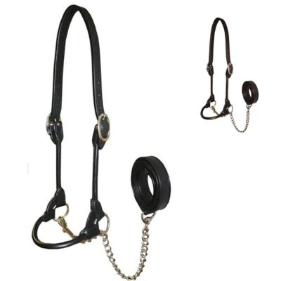 Image showing  Round Rolled Leather Show Halter for Cows with Lead