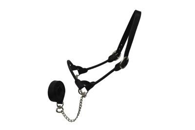 Image showing  Round Rolled Leather Show Halter for Cows with Lead