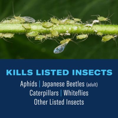 Image showing  Tree and Shrub Insect Killer Ready-to-Spray