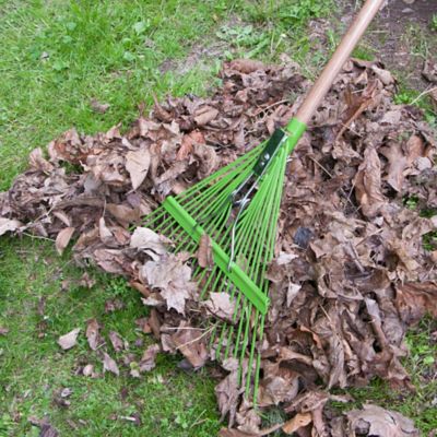Image showing  54 in. Wood Handle 22 Steel Tine Leaf Rake 4 pk.