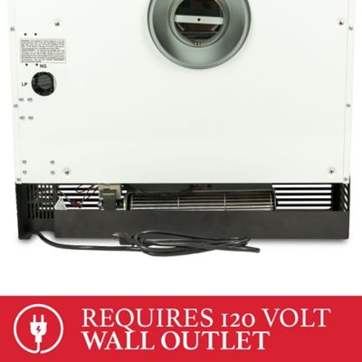 Image showing 7 th Ashley 100 CFM Direct Vent Wall Heater Blower for DVAG11