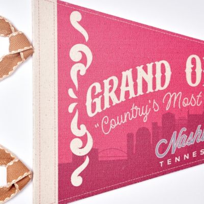 Image showing  Grand Ole Opry Printed Linen Pennant in Shadowbox Frame