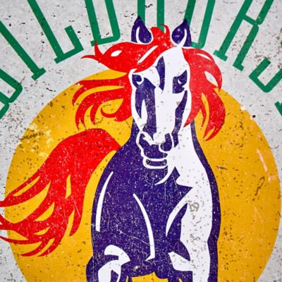 Image showing  Wildhorse Saloon Domed Metal Sign