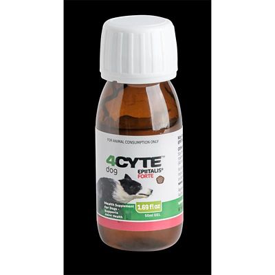 Image showing  4CYTE Epiitalis Forte Gel Joint Supplement for Dogs
