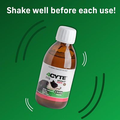 Image showing  4CYTE Epiitalis Forte Gel Joint Supplement for Dogs
