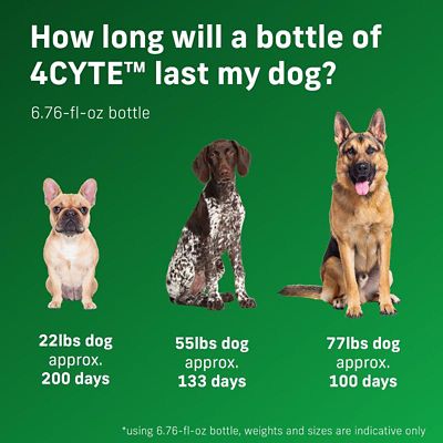 Image showing  4CYTE Epiitalis Forte Gel Joint Supplement for Dogs