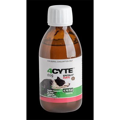Image showing  4CYTE Epiitalis Forte Gel Joint Supplement for Dogs
