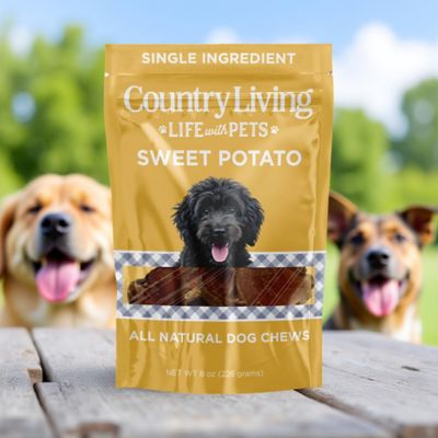 Image showing  Sweet Potato Chips Dog Treats, 8 oz. Bag