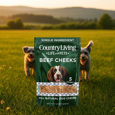 Image showing  4 in. x 4 in. Beef Cheek Chip Dog Treats - Chicken Flavor - 5 ct. Bag