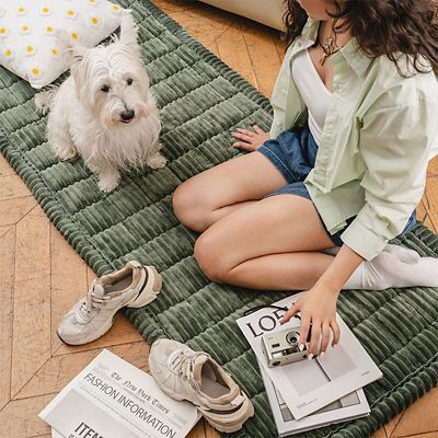 Image showing  Soft Flannel Breathable Sofa Seat Pad