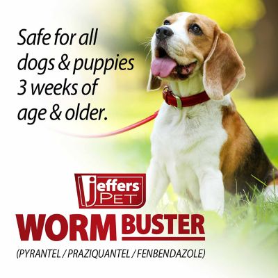 Image showing  Worm Buster Dog Dewormer Tablets