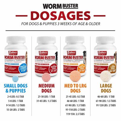 Image showing 6 th Jeffers Worm Buster Dog Dewormer Tablets