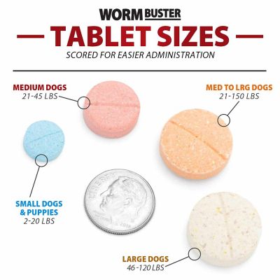 Image showing 6 th Jeffers Worm Buster Dog Dewormer Tablets