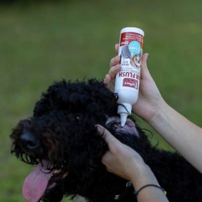 Image showing  Ear Flush for Dogs, Cats & Puppies