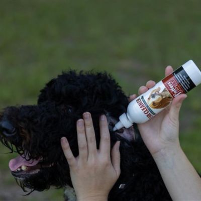 Image showing  Ear Cleaning Solution for Dogs, Cats & Puppies
