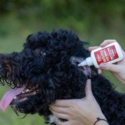 Image showing  Ear Drops for Dogs & Cats