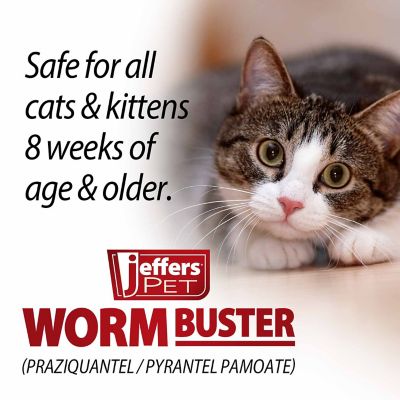 Image showing  Worm Buster Cat Dewormer Tablets