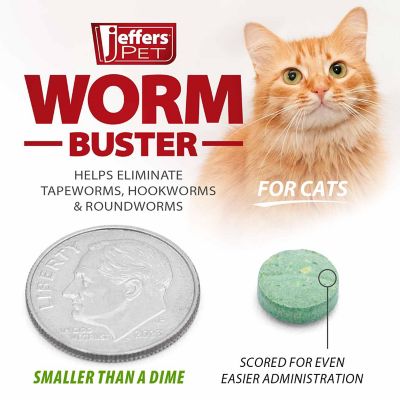 Image showing 5 th Jeffers Worm Buster Cat Dewormer Tablets
