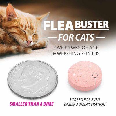 Image showing  Flea Buster Chewable Tablets for Cat and Kittens