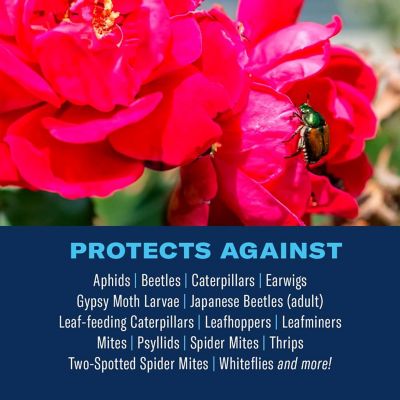 Image showing 1 th BioAdvanced All in One Rose and Flower Plant Care Concentrate