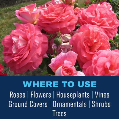 Image showing 4 th BioAdvanced All in One Rose and Flower Plant Care Concentrate