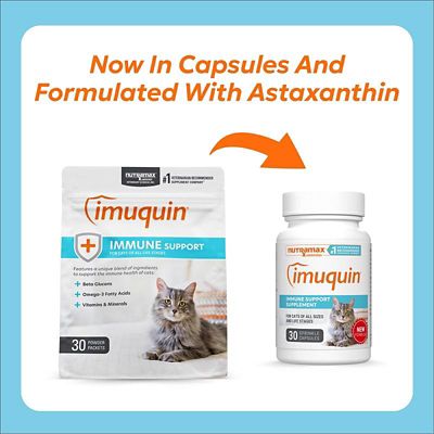 Image showing  Imuquin Immune Support Supplement for Cats, 30 Sprinkle Capsules