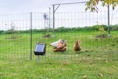 Image showing  Solar-Powered Electric Fence Kit for Small Animals